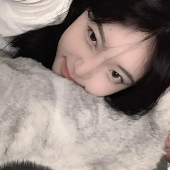 灿烂丁香